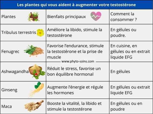 Tableau de quelques plantes qui augmentent le taux de testostérones